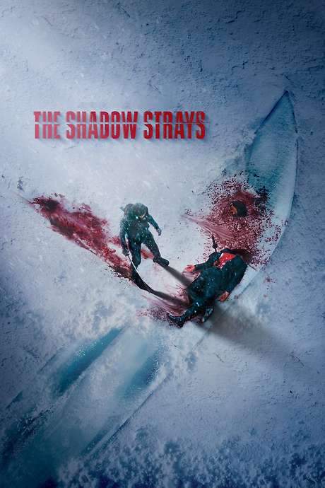 The Shadow Strays
